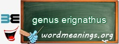 WordMeaning blackboard for genus erignathus